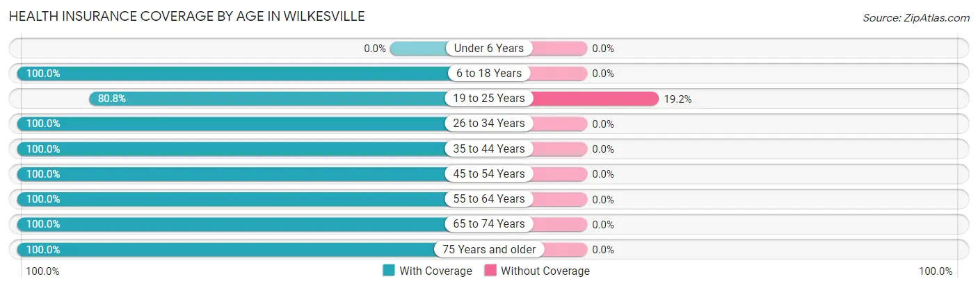 Health Insurance Coverage by Age in Wilkesville