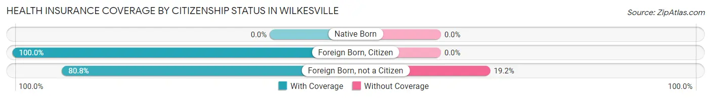 Health Insurance Coverage by Citizenship Status in Wilkesville