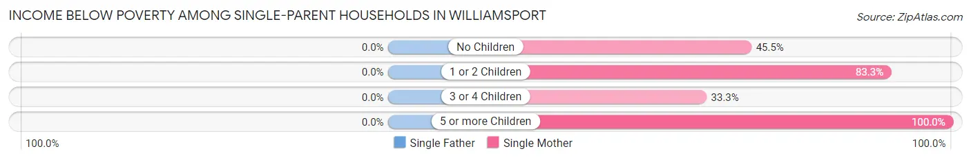 Income Below Poverty Among Single-Parent Households in Williamsport
