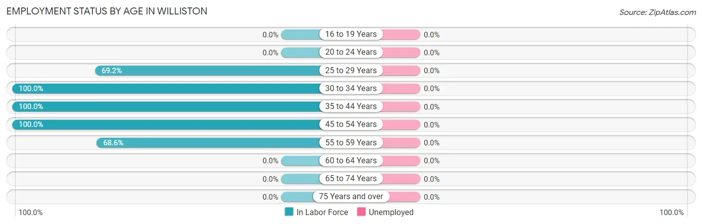 Employment Status by Age in Williston