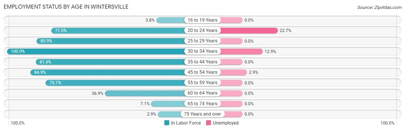 Employment Status by Age in Wintersville