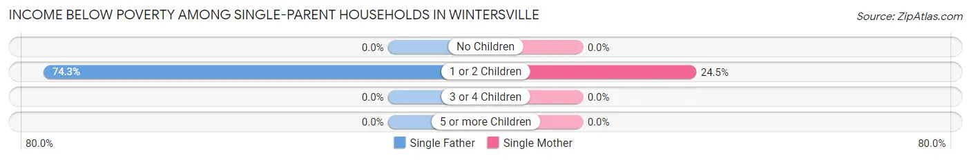 Income Below Poverty Among Single-Parent Households in Wintersville