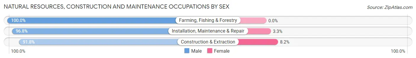Natural Resources, Construction and Maintenance Occupations by Sex in Youngstown