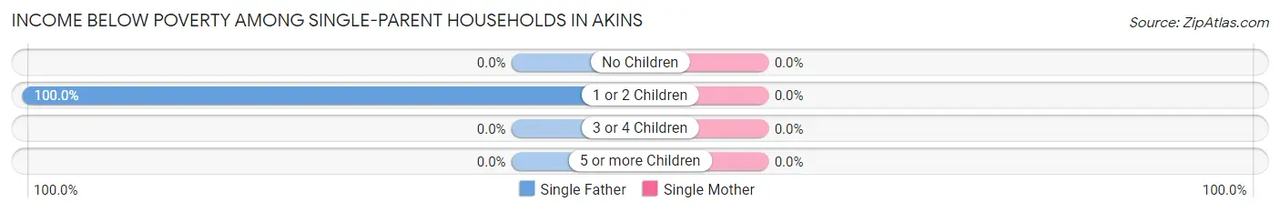 Income Below Poverty Among Single-Parent Households in Akins