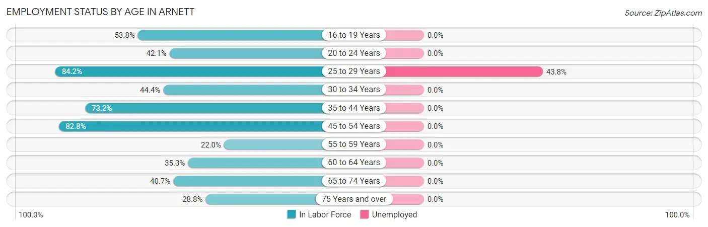 Employment Status by Age in Arnett