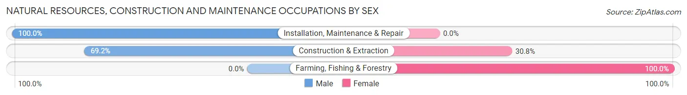 Natural Resources, Construction and Maintenance Occupations by Sex in Arpelar