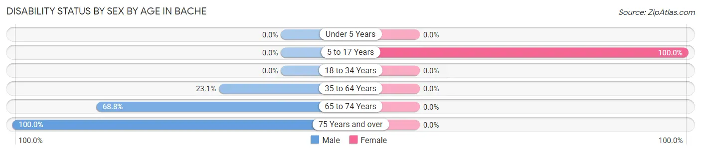Disability Status by Sex by Age in Bache