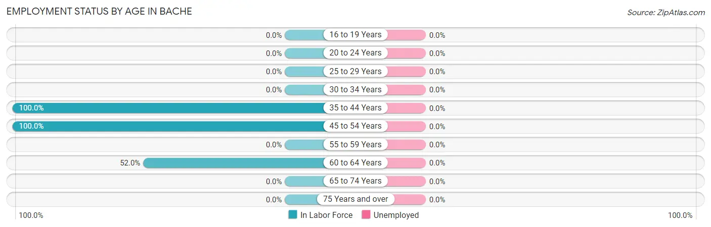 Employment Status by Age in Bache