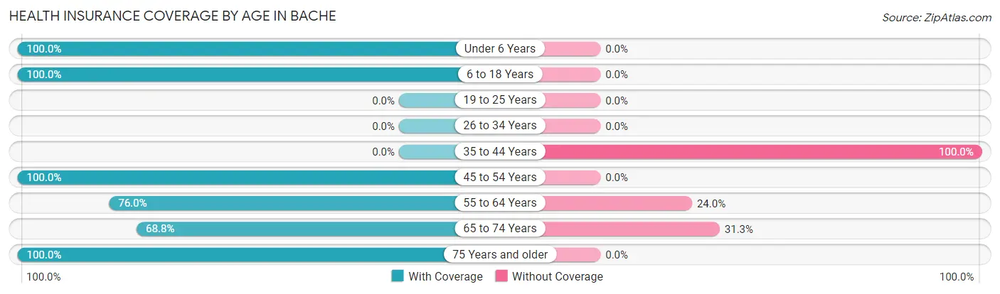 Health Insurance Coverage by Age in Bache