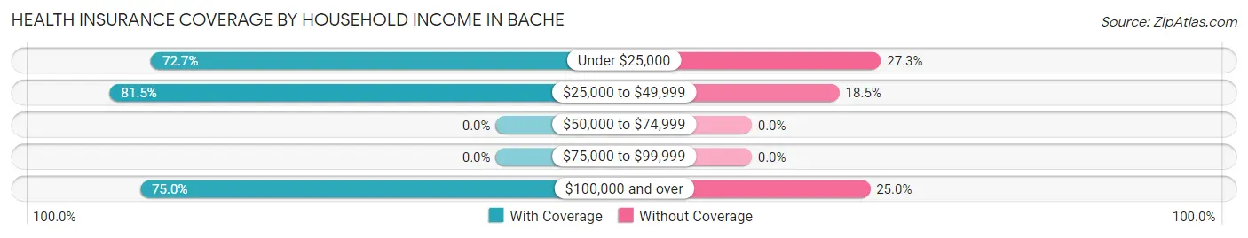 Health Insurance Coverage by Household Income in Bache