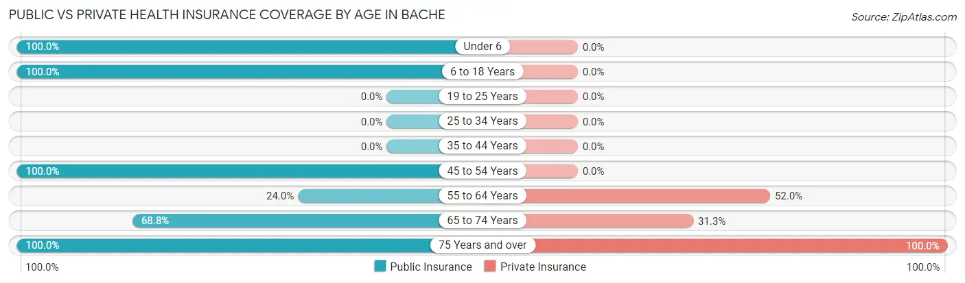 Public vs Private Health Insurance Coverage by Age in Bache
