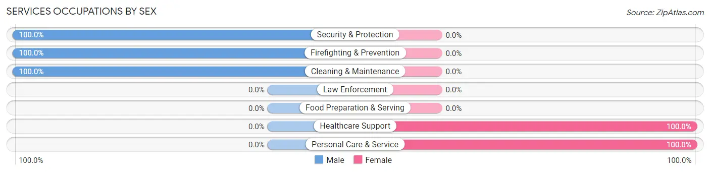 Services Occupations by Sex in Blanco