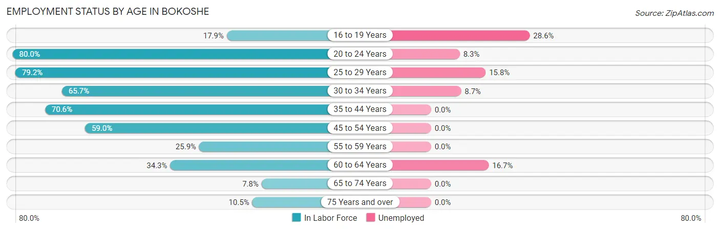 Employment Status by Age in Bokoshe