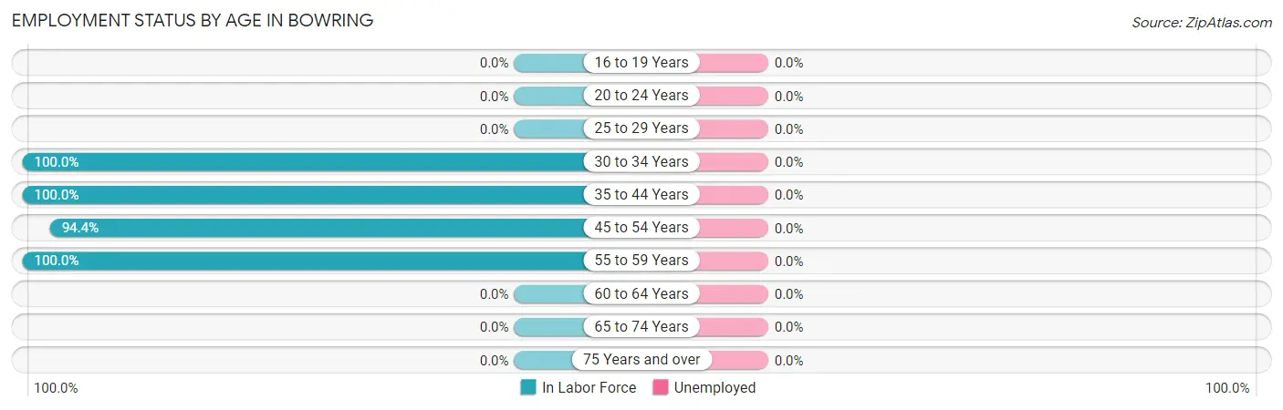Employment Status by Age in Bowring