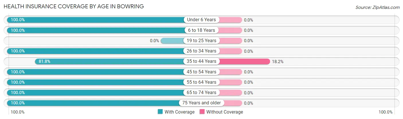 Health Insurance Coverage by Age in Bowring