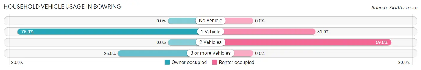 Household Vehicle Usage in Bowring