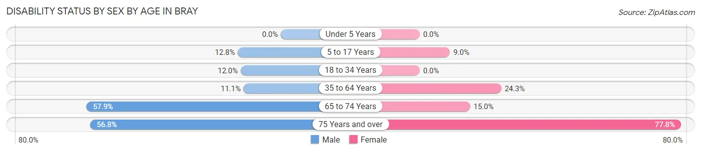 Disability Status by Sex by Age in Bray