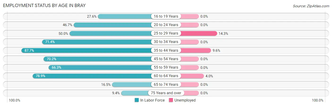 Employment Status by Age in Bray