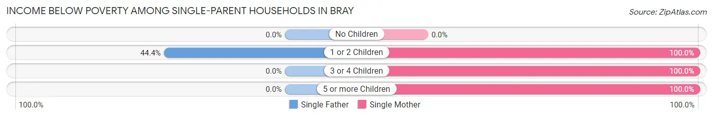 Income Below Poverty Among Single-Parent Households in Bray