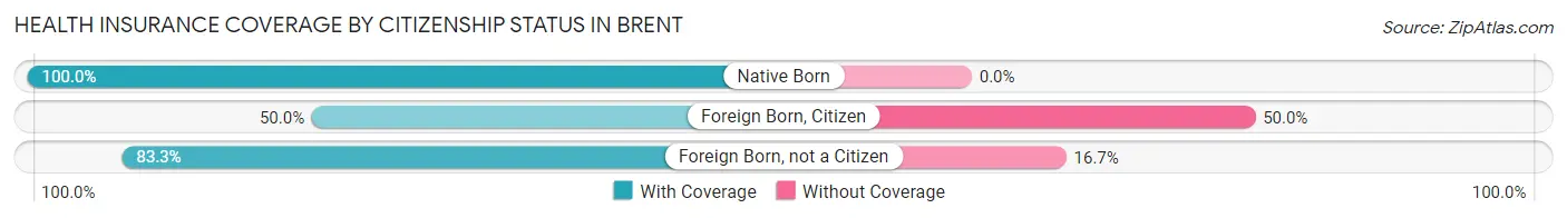Health Insurance Coverage by Citizenship Status in Brent