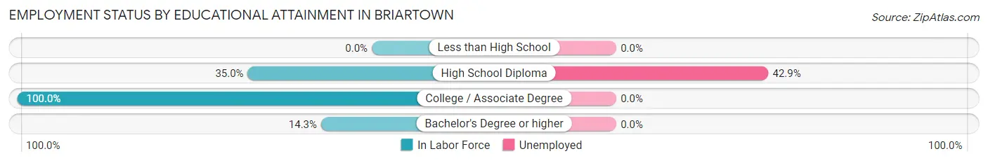 Employment Status by Educational Attainment in Briartown