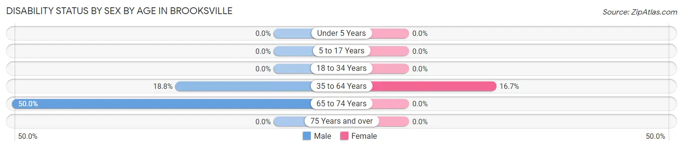Disability Status by Sex by Age in Brooksville