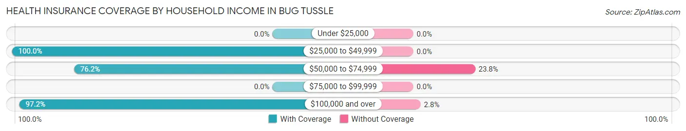 Health Insurance Coverage by Household Income in Bug Tussle