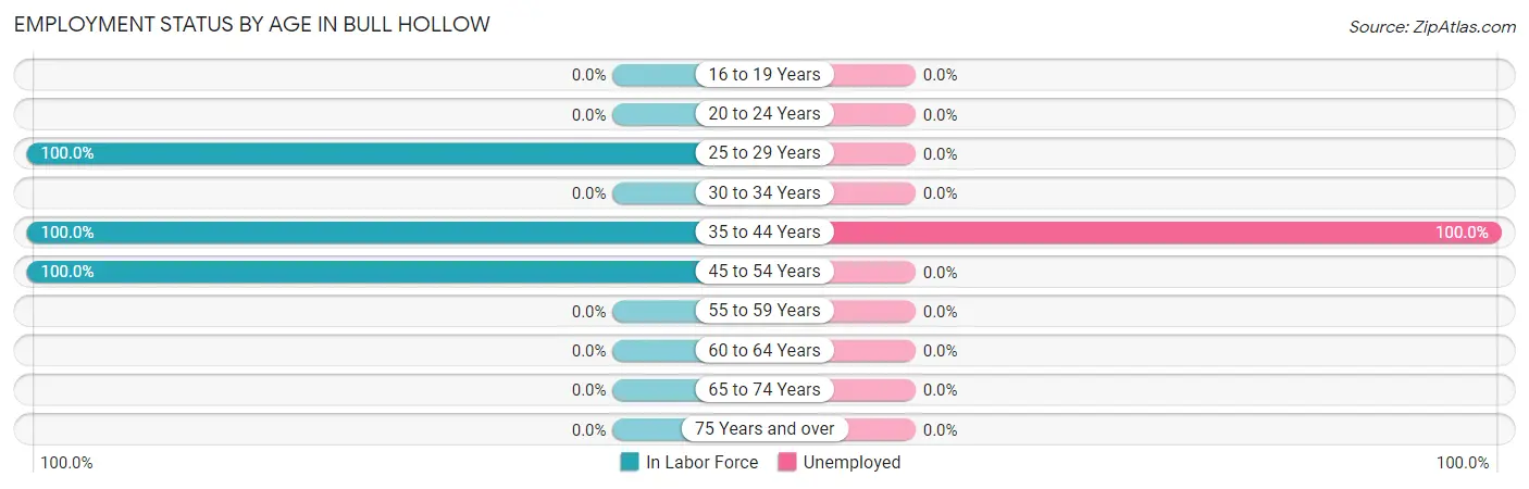 Employment Status by Age in Bull Hollow