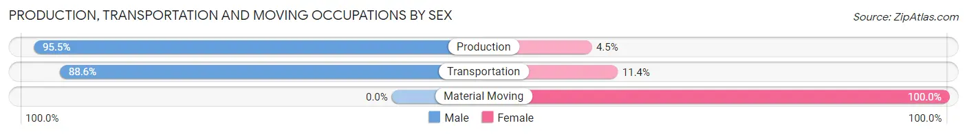 Production, Transportation and Moving Occupations by Sex in Byng