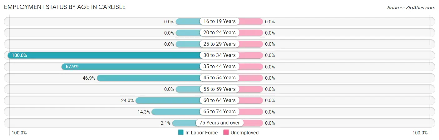 Employment Status by Age in Carlisle