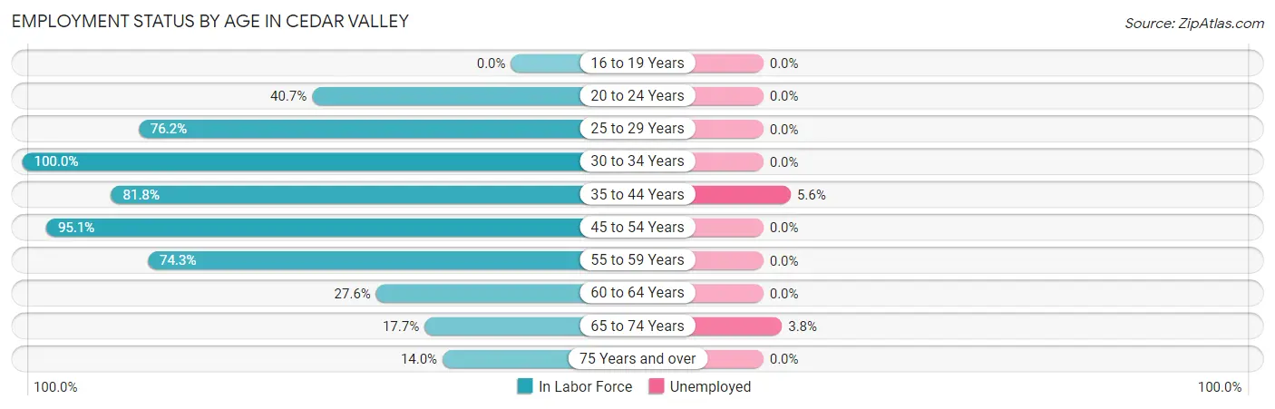 Employment Status by Age in Cedar Valley