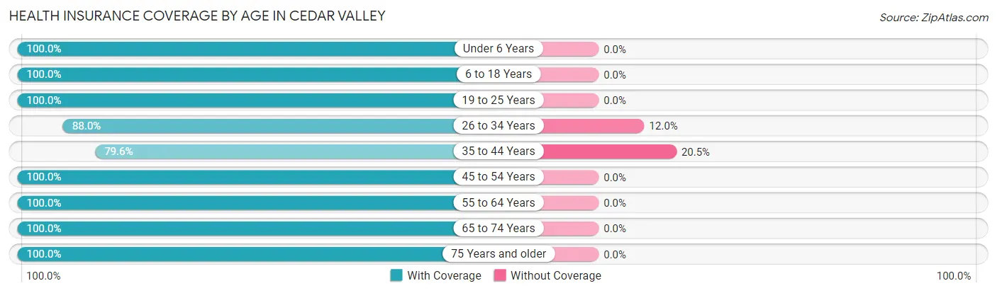 Health Insurance Coverage by Age in Cedar Valley