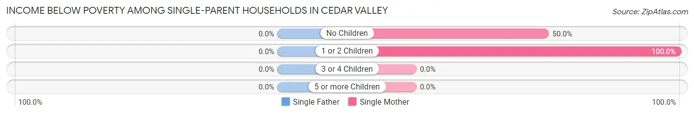 Income Below Poverty Among Single-Parent Households in Cedar Valley