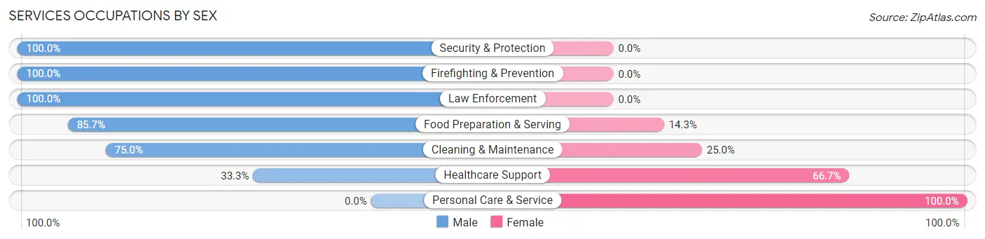 Services Occupations by Sex in Cedar Valley