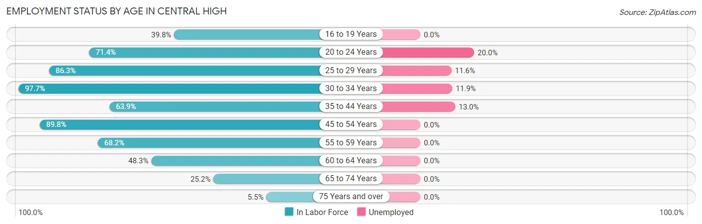Employment Status by Age in Central High