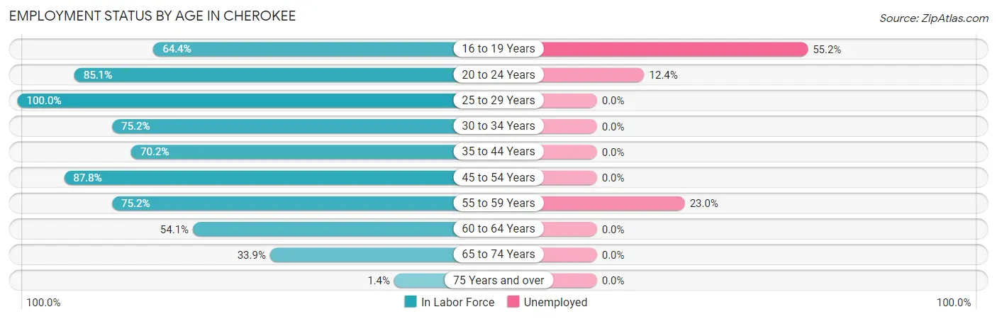 Employment Status by Age in Cherokee