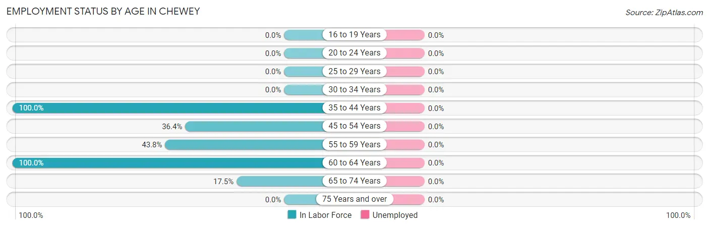 Employment Status by Age in Chewey