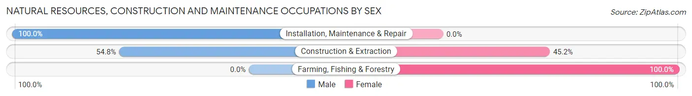 Natural Resources, Construction and Maintenance Occupations by Sex in Colbert
