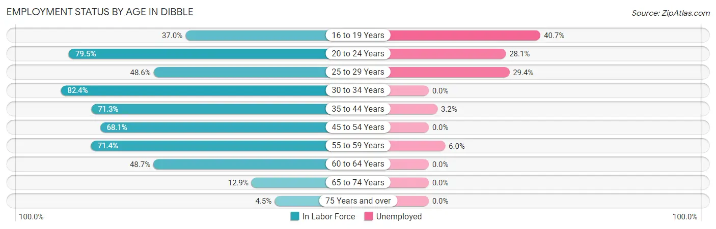 Employment Status by Age in Dibble