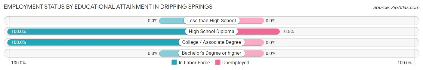 Employment Status by Educational Attainment in Dripping Springs