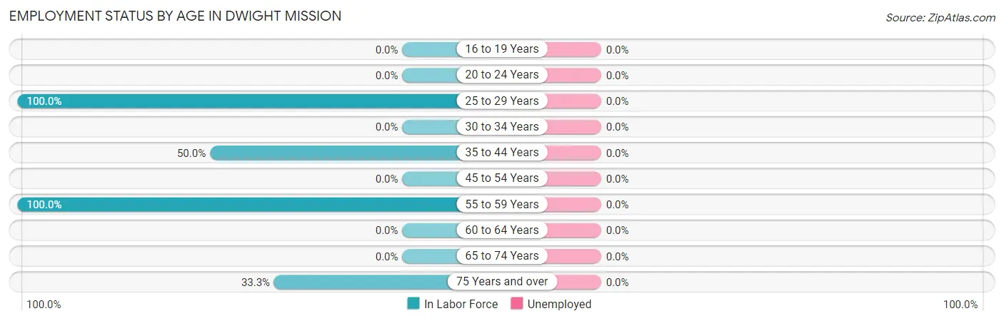 Employment Status by Age in Dwight Mission