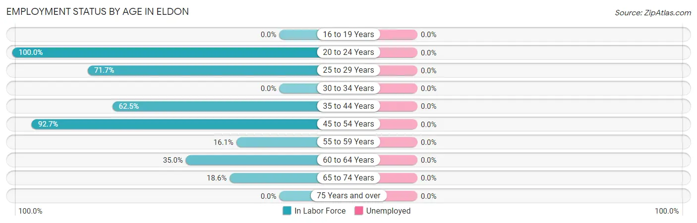 Employment Status by Age in Eldon