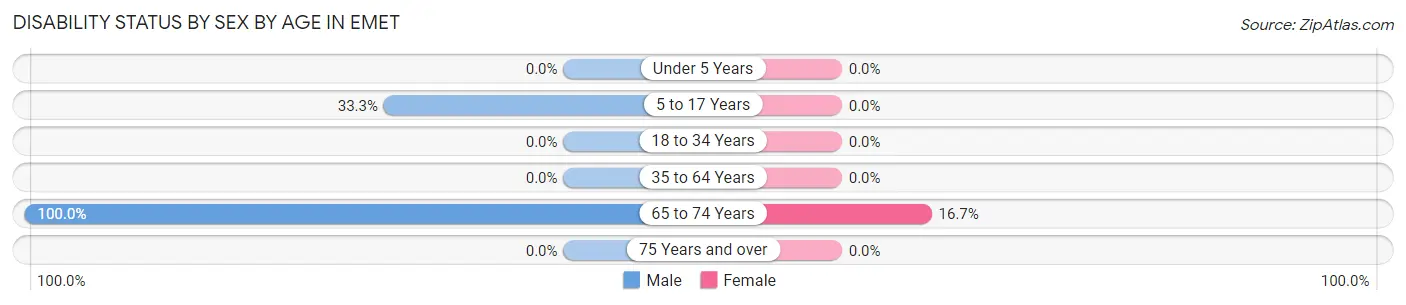 Disability Status by Sex by Age in Emet