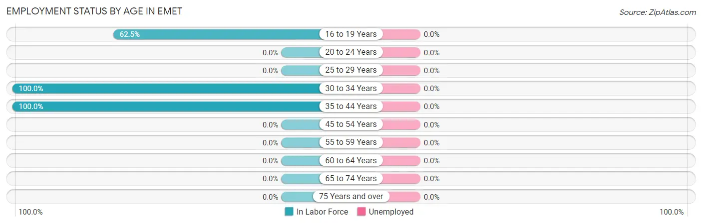 Employment Status by Age in Emet