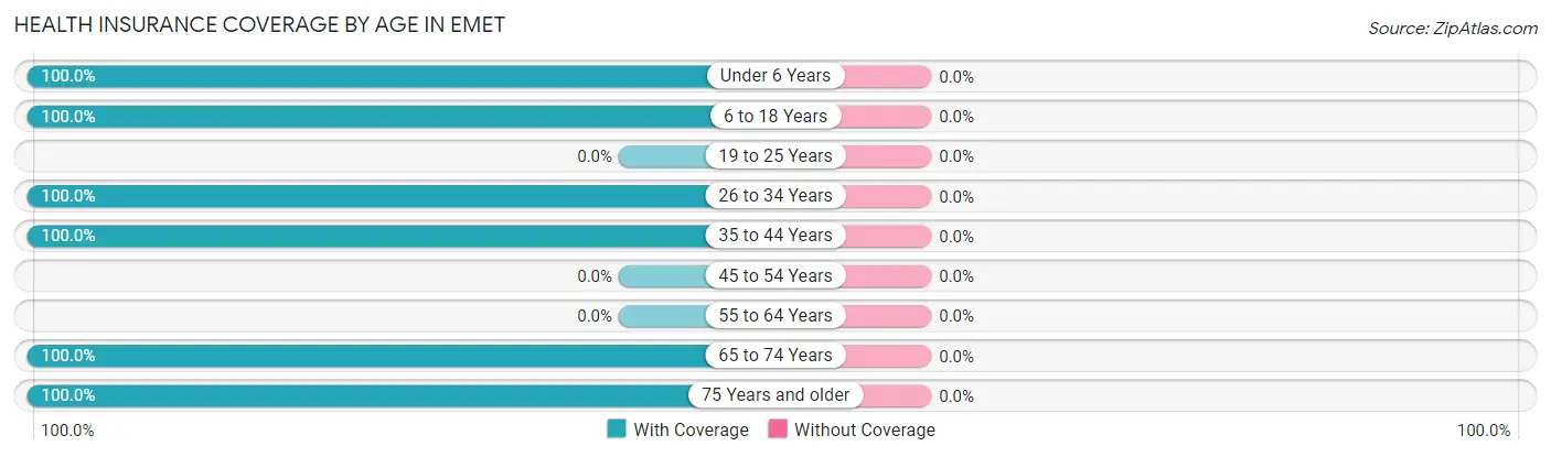 Health Insurance Coverage by Age in Emet