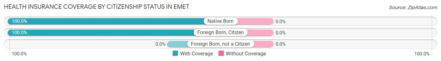 Health Insurance Coverage by Citizenship Status in Emet