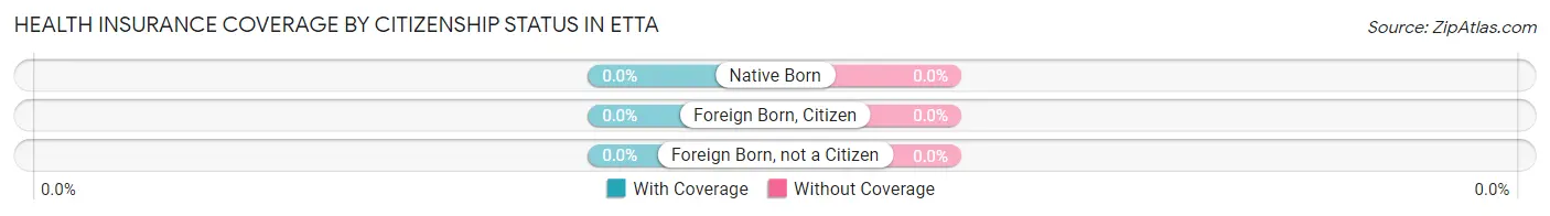 Health Insurance Coverage by Citizenship Status in Etta