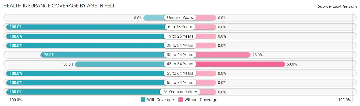 Health Insurance Coverage by Age in Felt