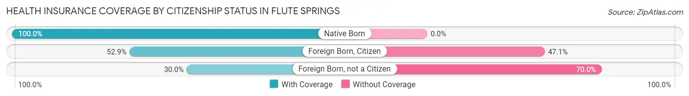 Health Insurance Coverage by Citizenship Status in Flute Springs