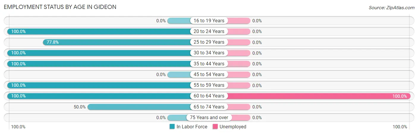 Employment Status by Age in Gideon